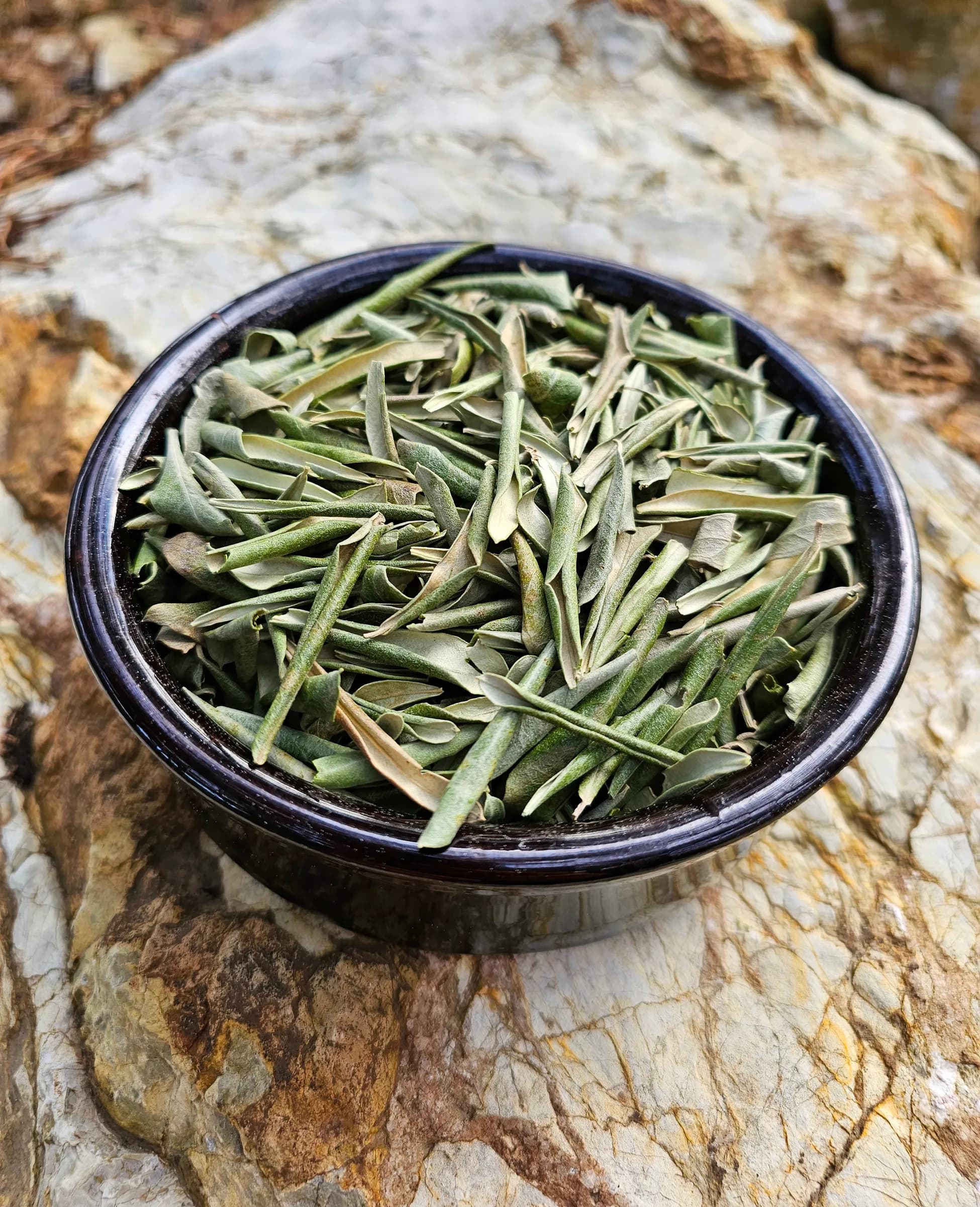 Boz Zeytin Yaprağı