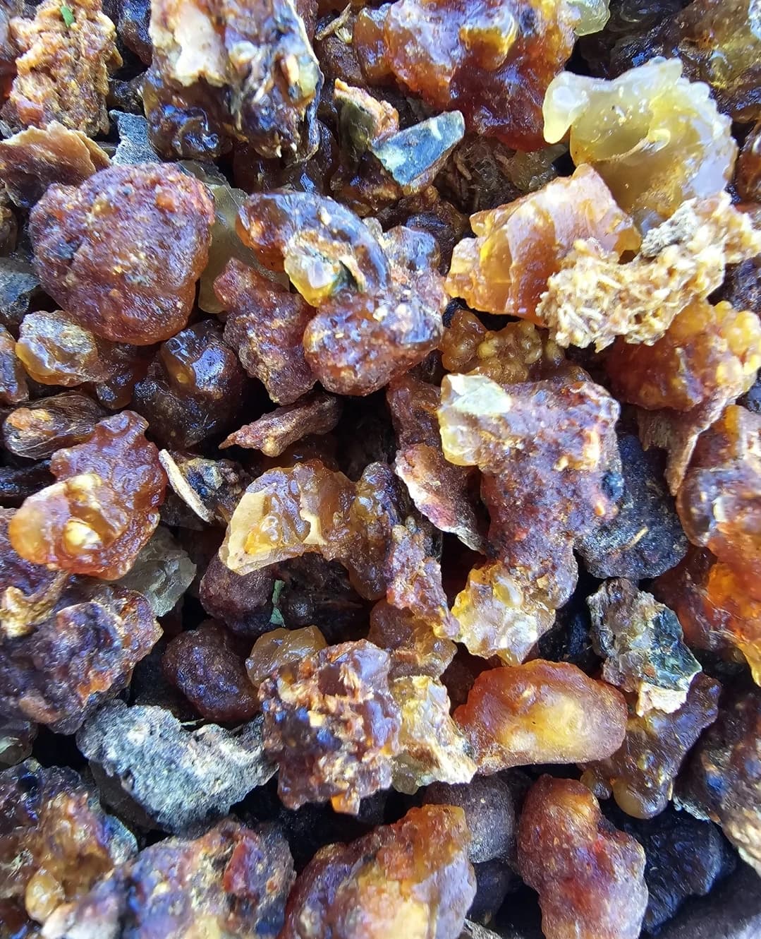 Mürsafi Reçinesi
