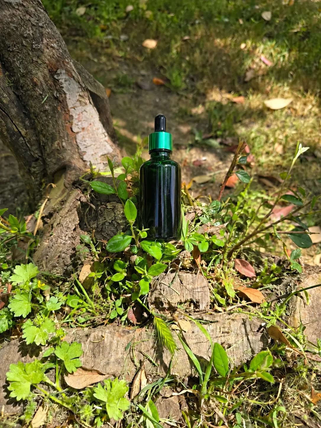 OR-MAN Kara İksir Mumiyo (Shilajit İçerikli Sıvı Ekstrakt)
