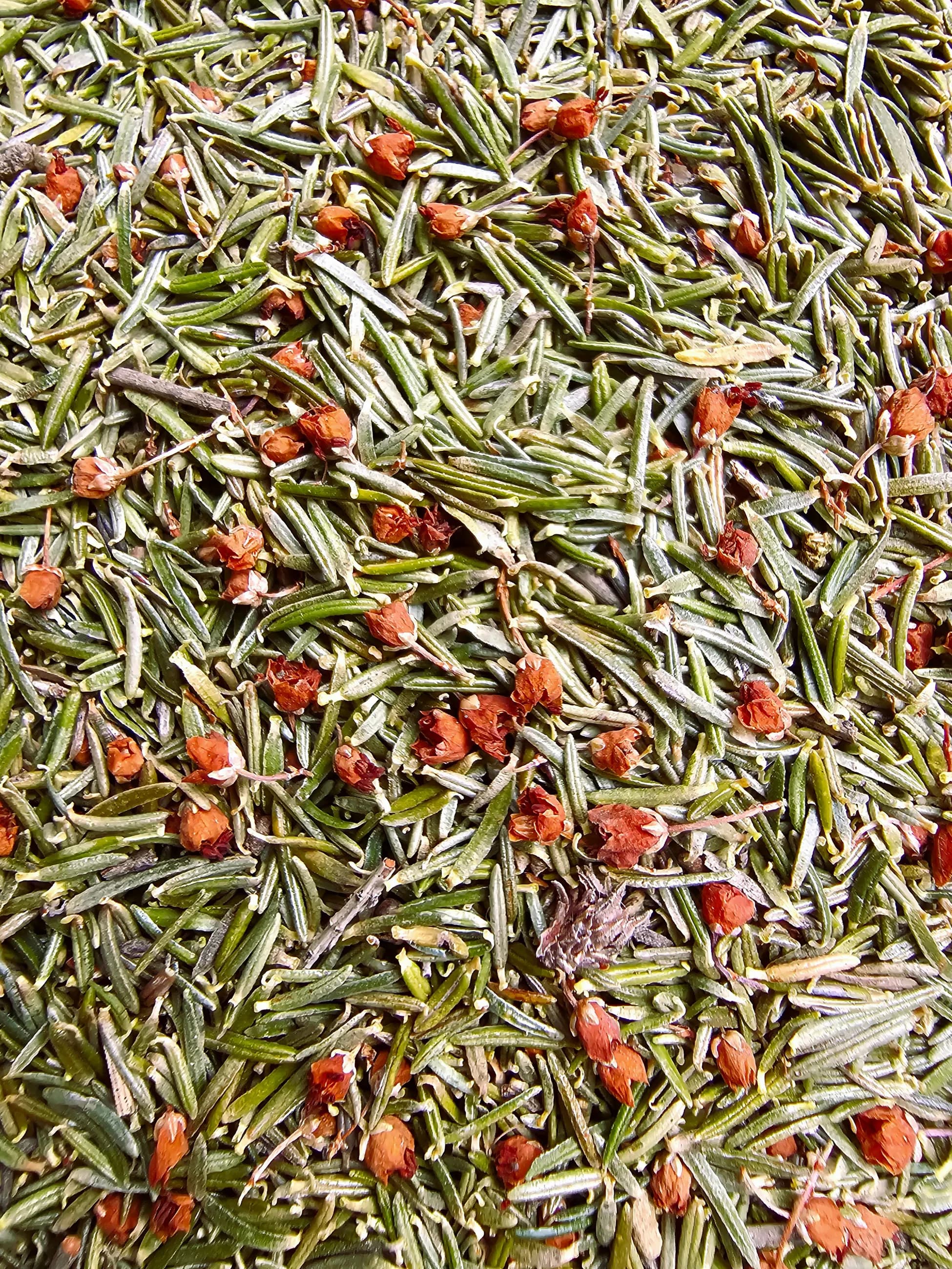 Funda Yaprağı (Yayla El Hasadı)