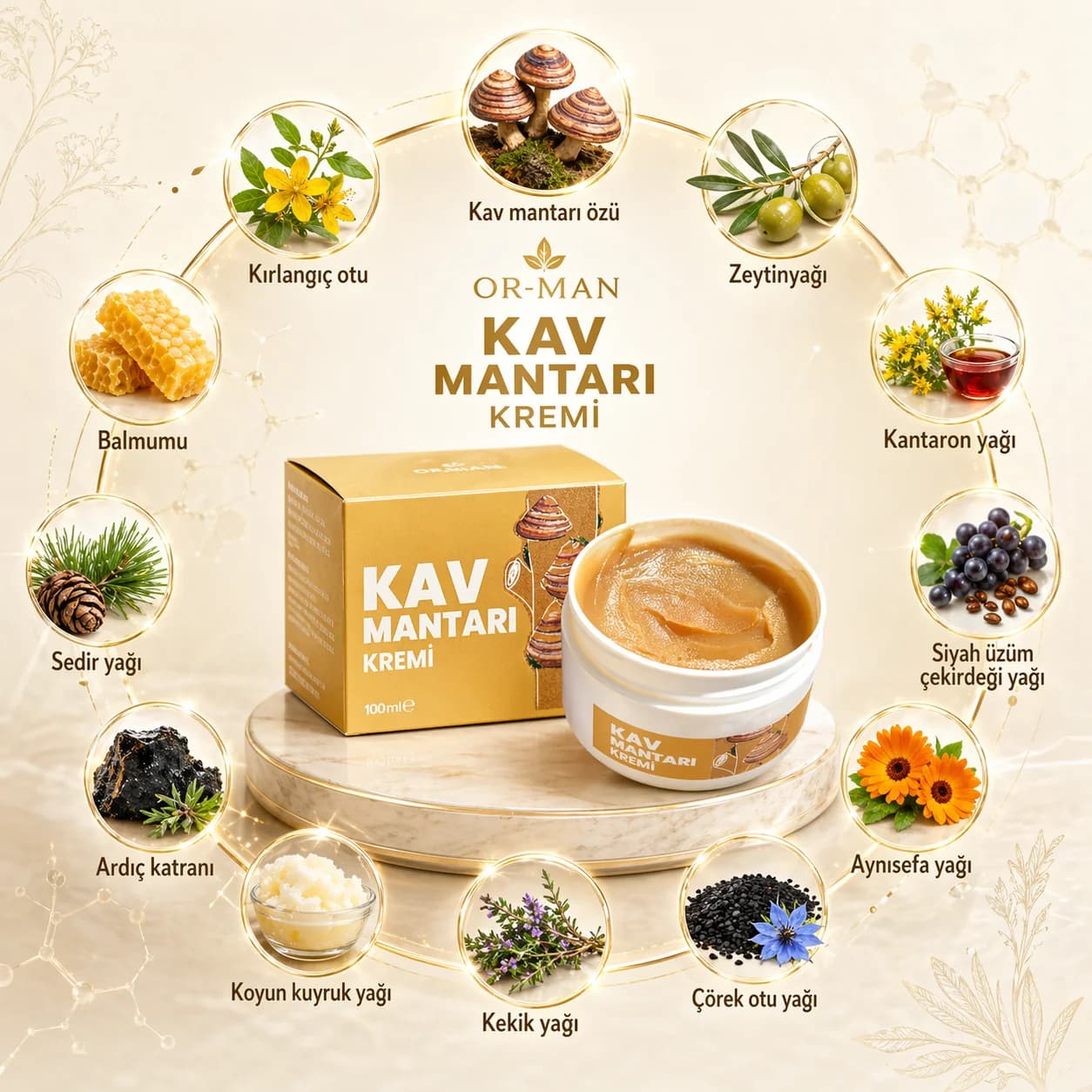 KAV MANTARI KREMİ