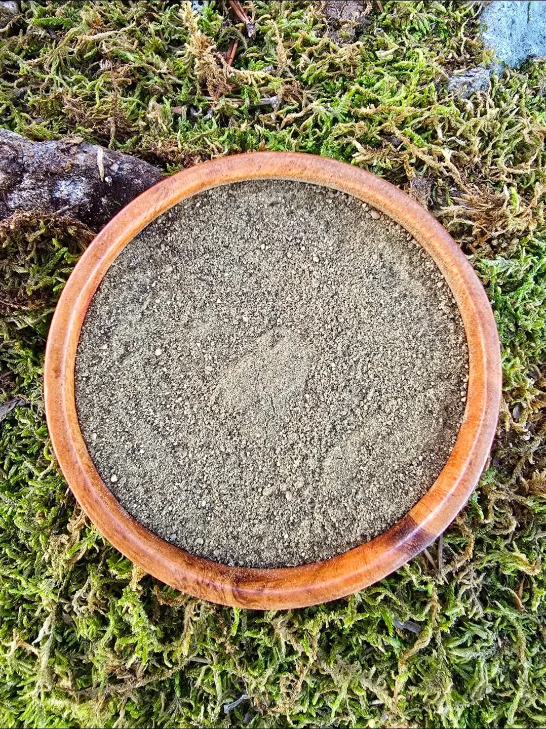 Kampot Karabiber (Taze Çekim)