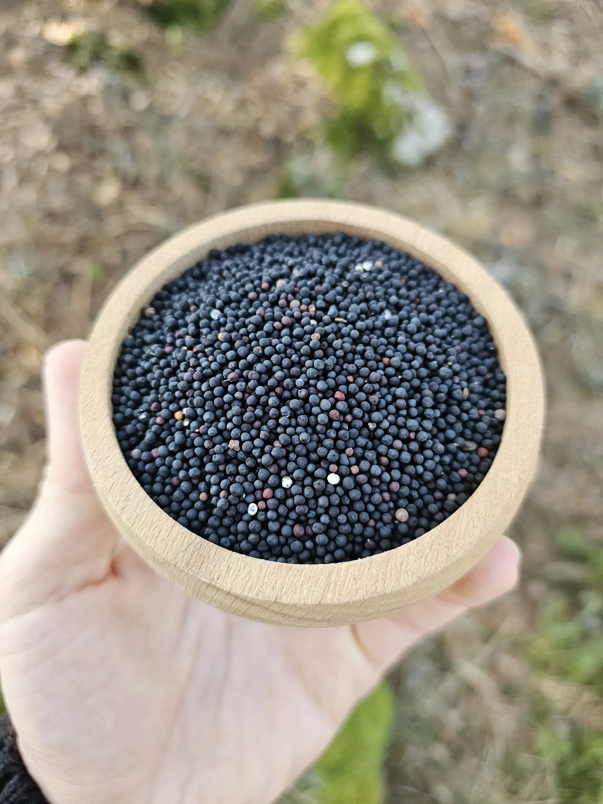 Atalık Siyah Hardal Tohumu