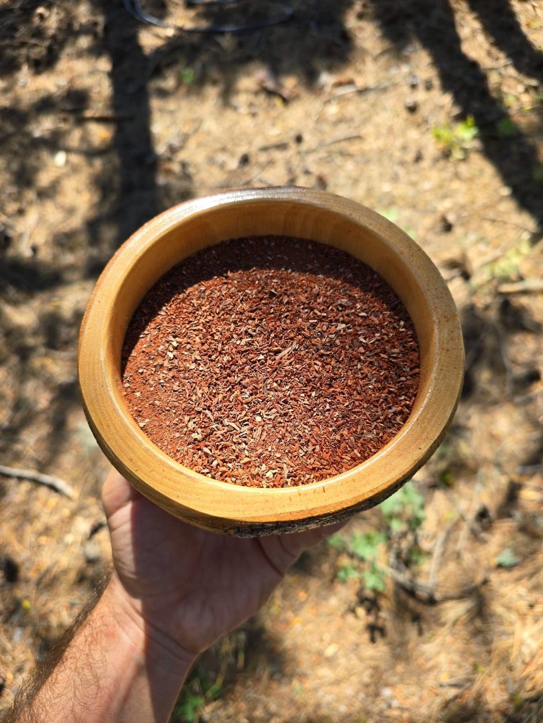 PİKNOGENOL (Çam İç Zarı Özü)