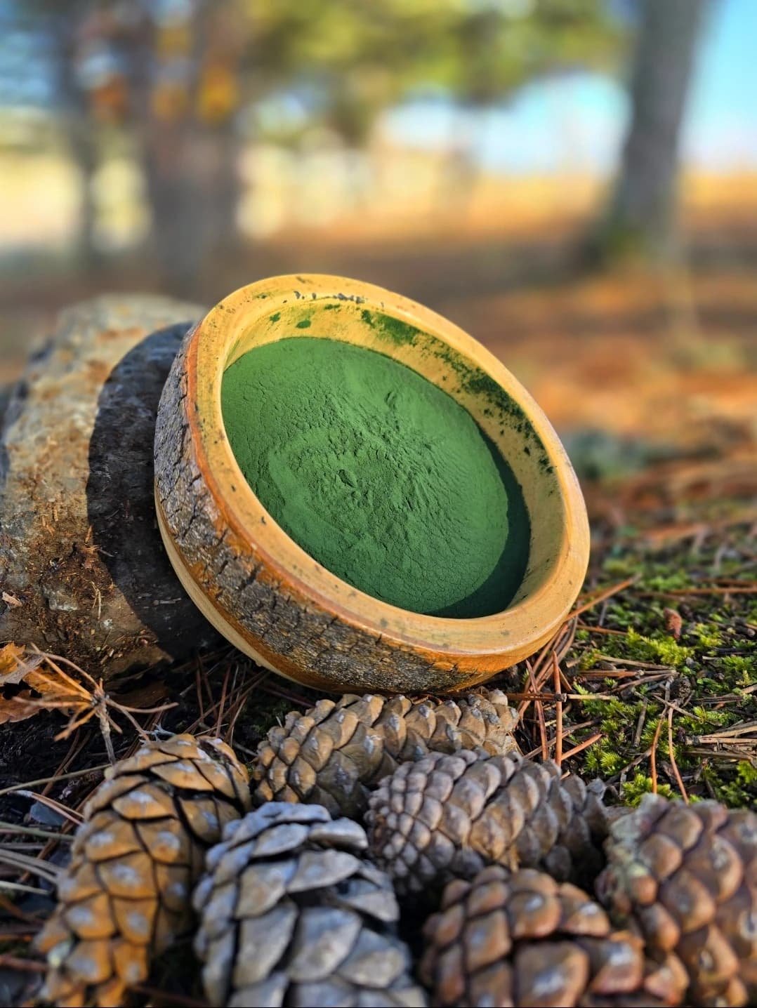 ORMANELLA (Spirulina, Chlorella, Moringa Toz Karışımı)