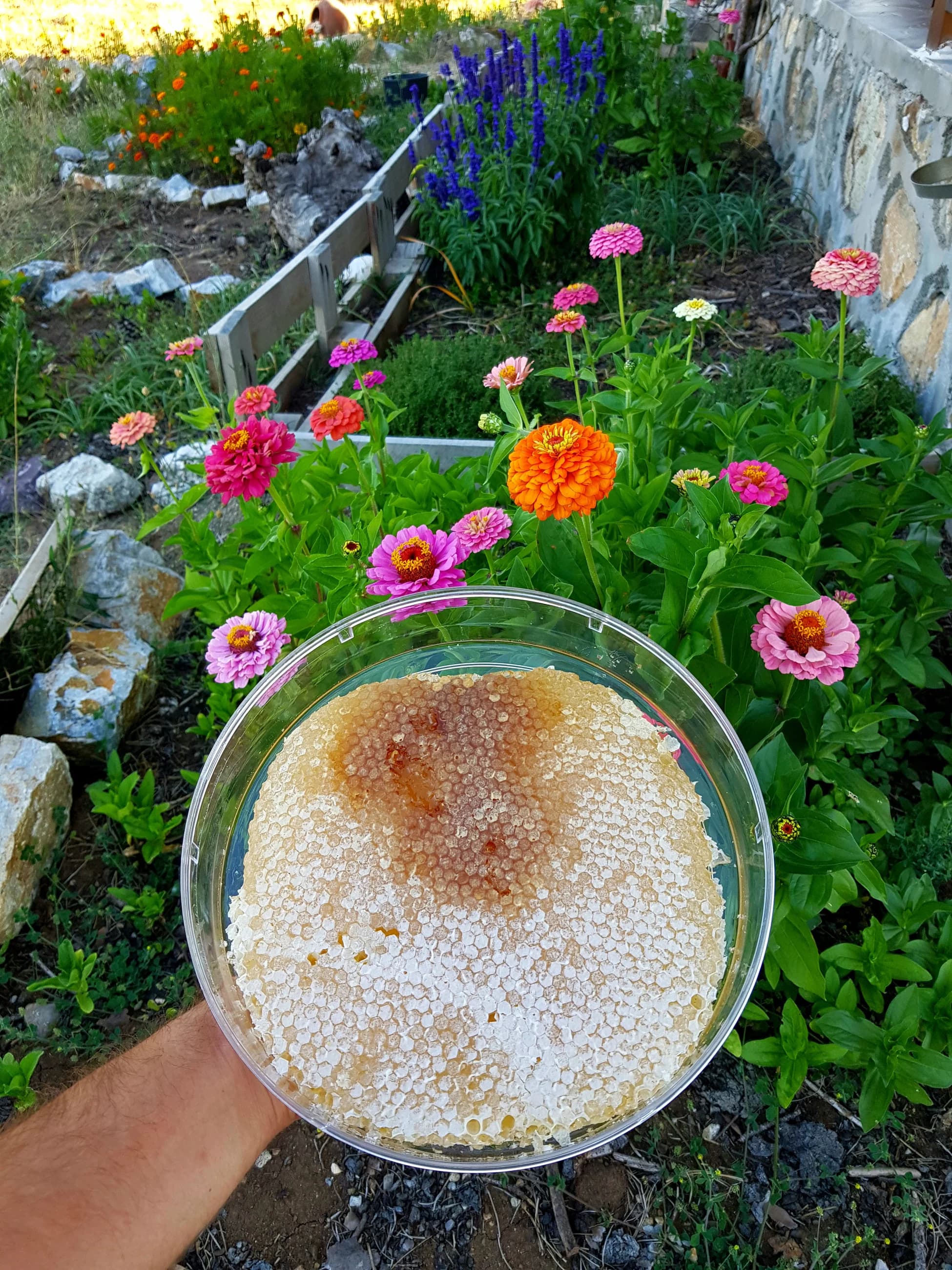 Karakovan Petek Balı (Yüksek Rakım Polifloral Bitki Bahçesi Balı)