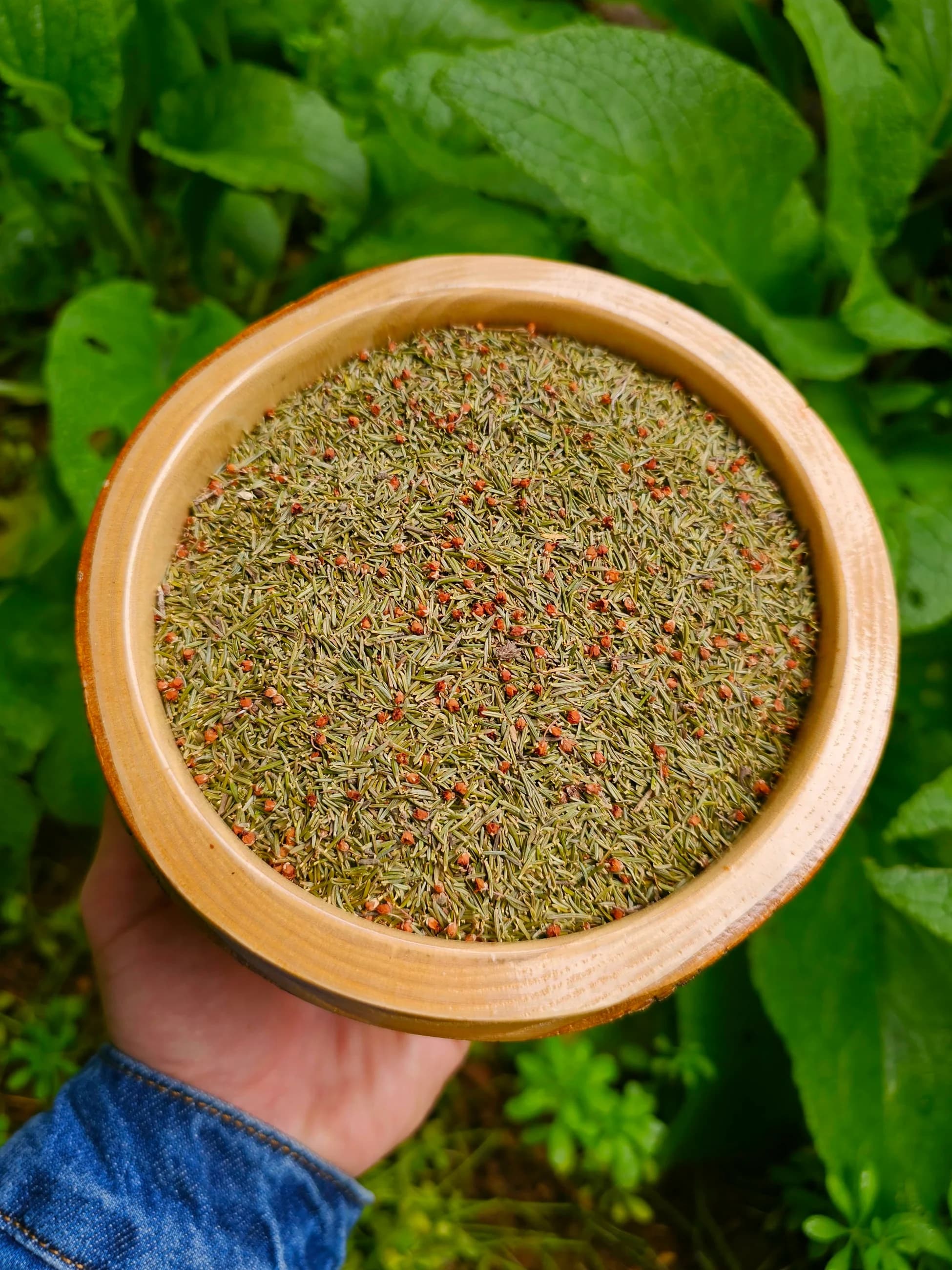 Funda Yaprağı (Yayla El Hasadı)