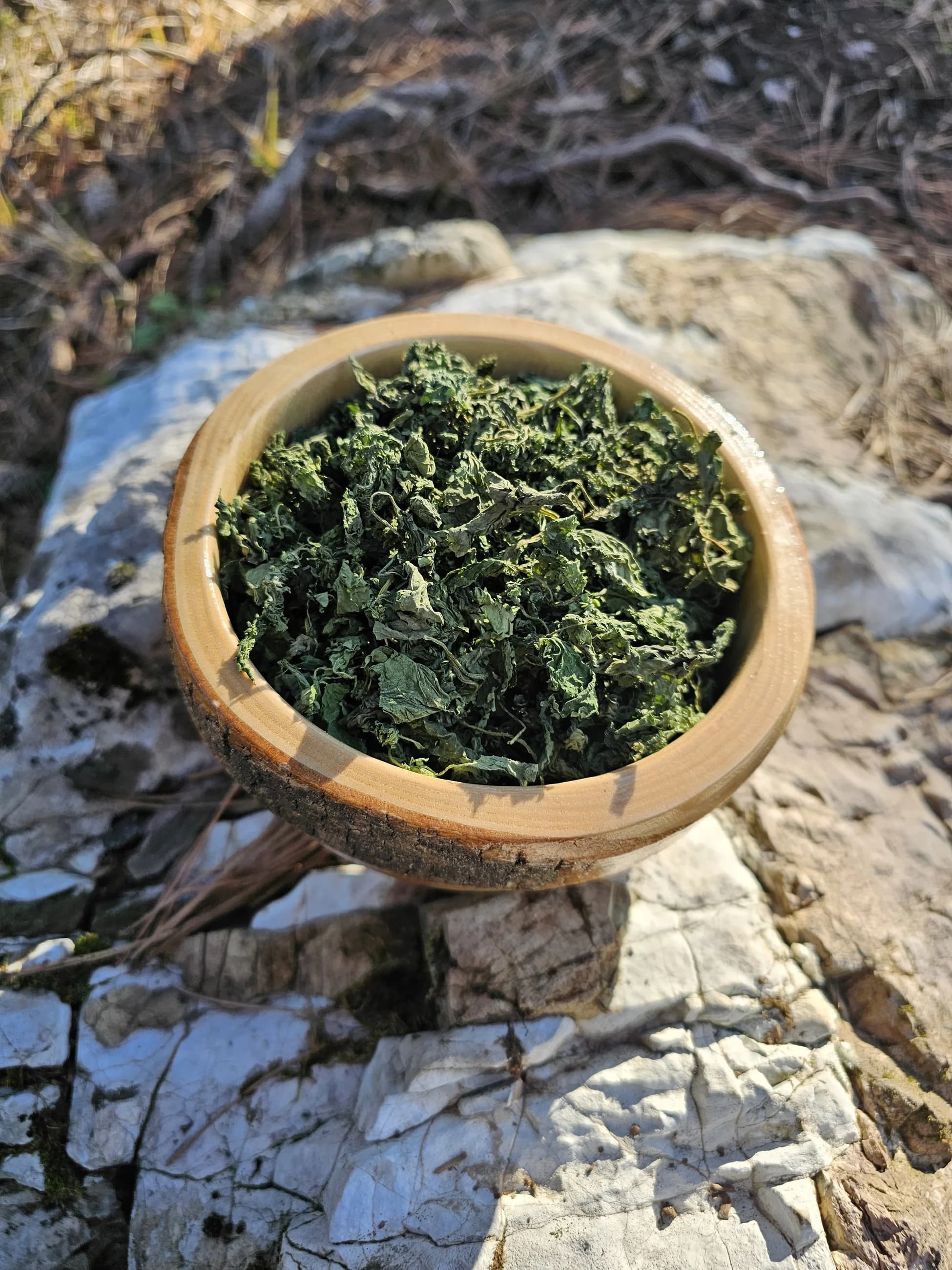 Yayla Geleneksel Isırgan Otu