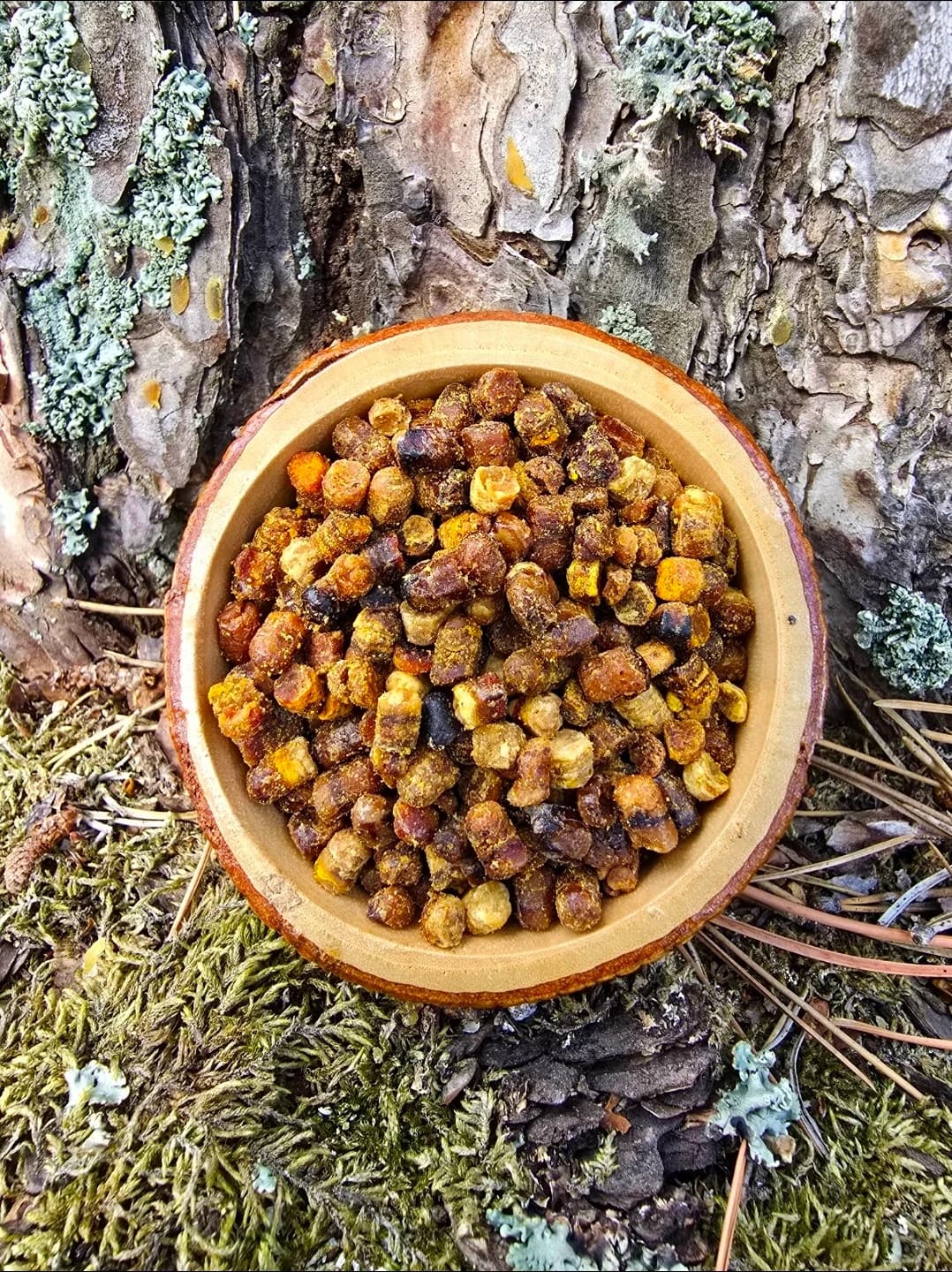 PERGA (Arı Ekmeği)