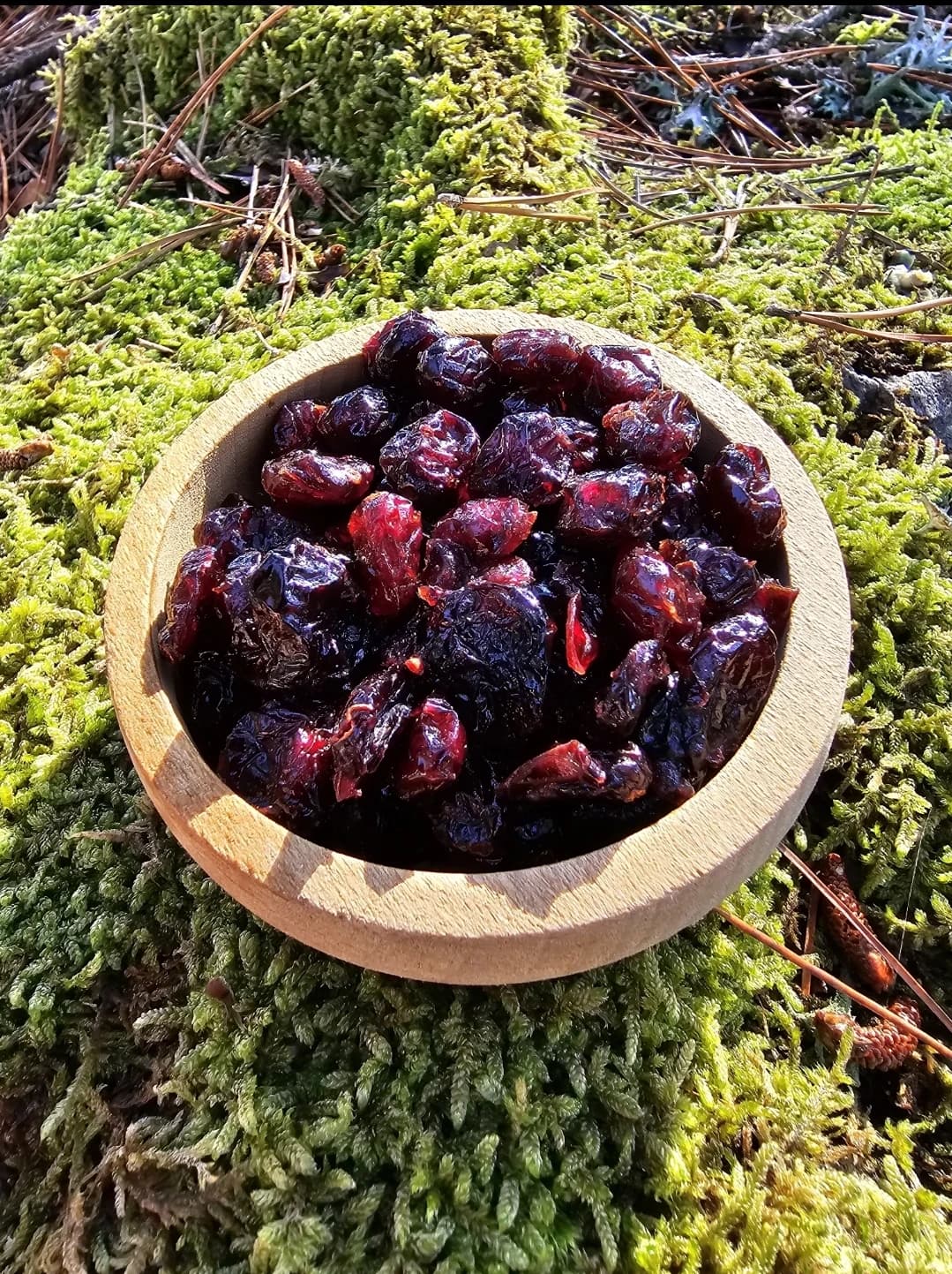 Yabani Turna Yemişi