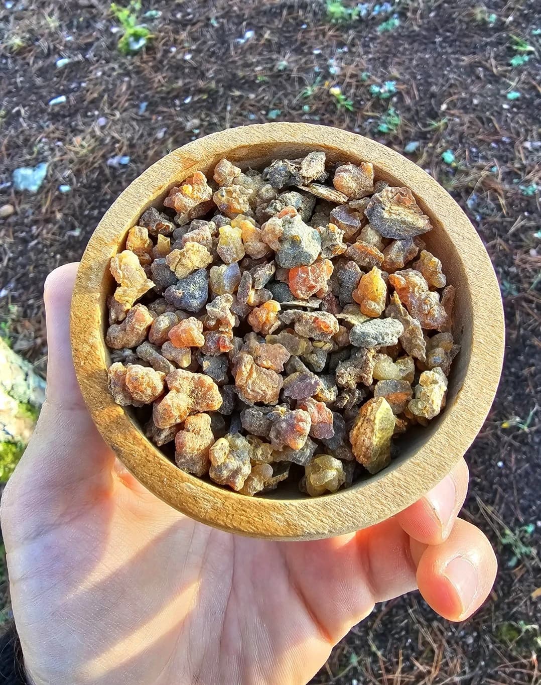Mürsafi Reçinesi