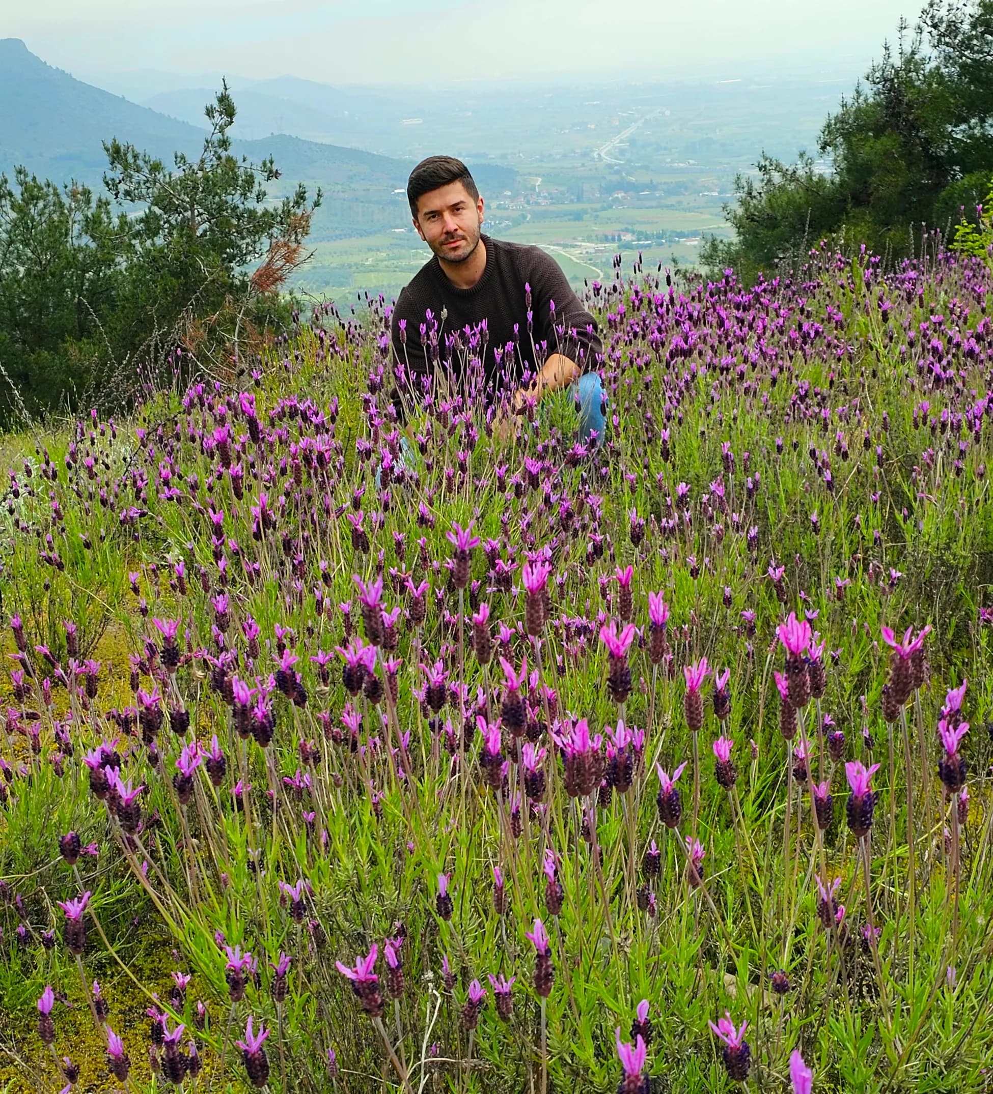 Yerli Karabaş Otu