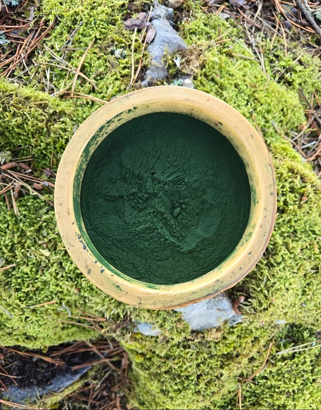 ORMANELLA (Spirulina, Chlorella, Moringa Toz Karışımı)