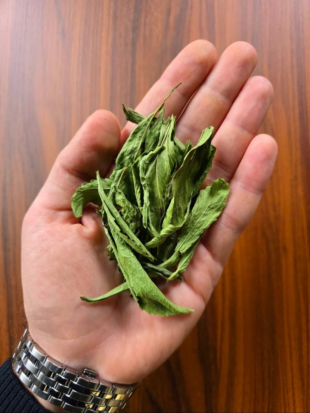Lüks Şeker Otu (Stevia)