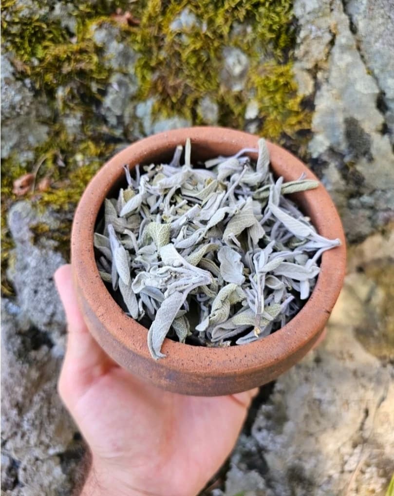 Lüks Adaçayı