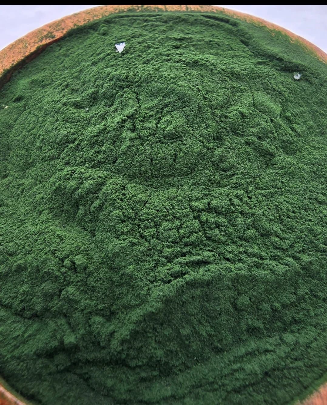 ORMANELLA (Spirulina, Chlorella, Moringa Toz Karışımı)