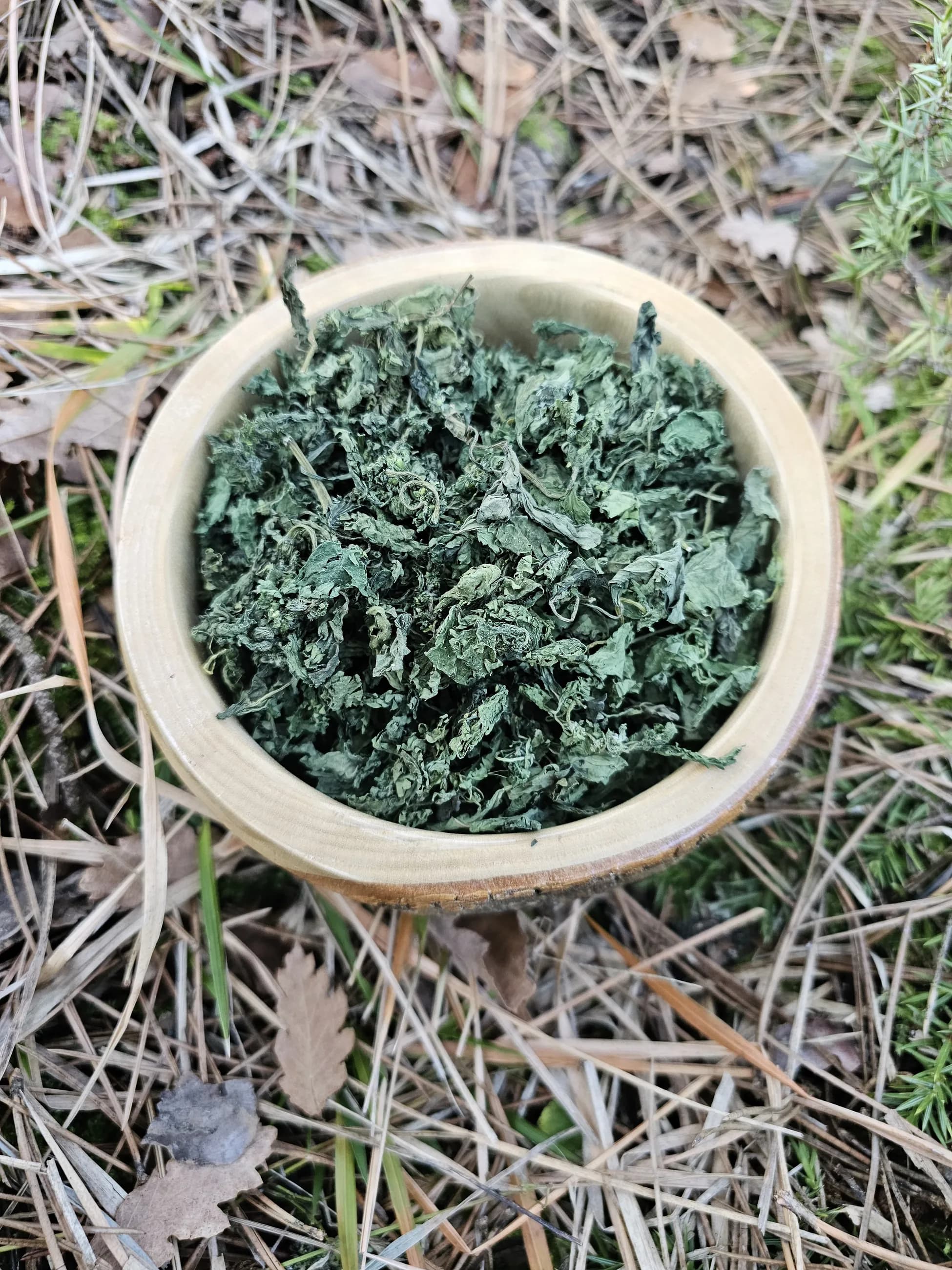 Yayla Geleneksel Isırgan Otu