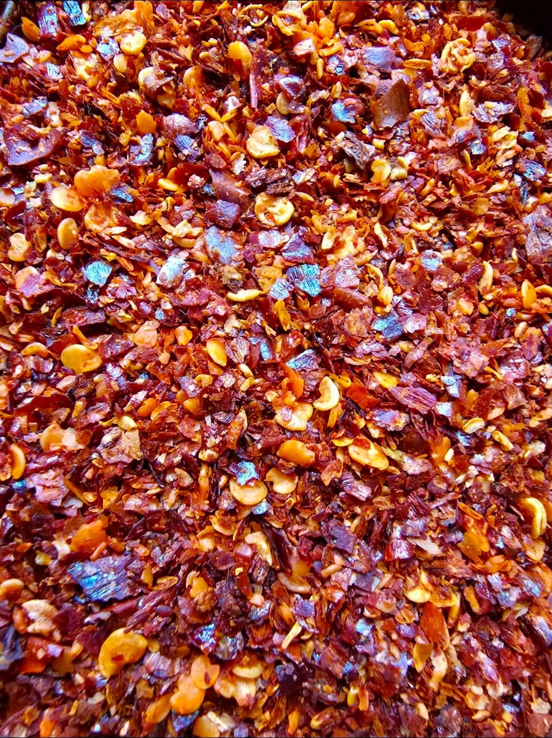 Cayenne Biberi (Yucatán Orijin)