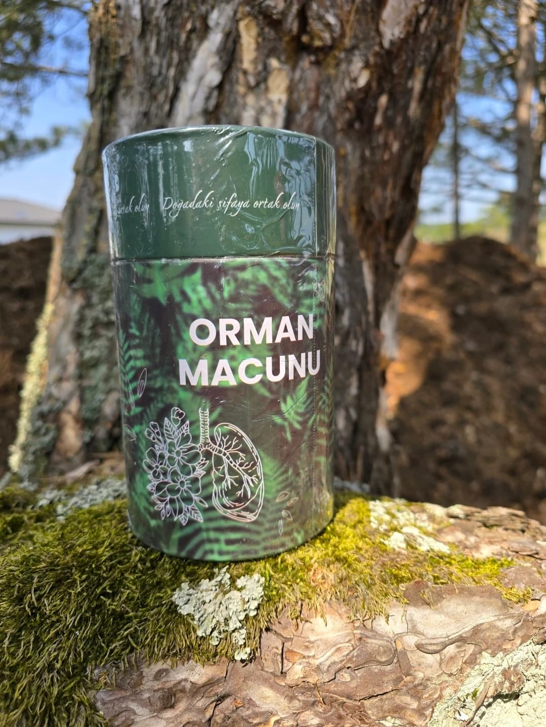 ORMAN MACUNU
